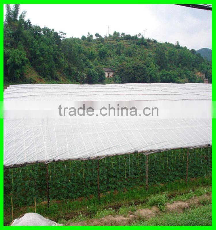 100% virgin with UV treated woven transparent pe cover,cherry anti acid protection cover
