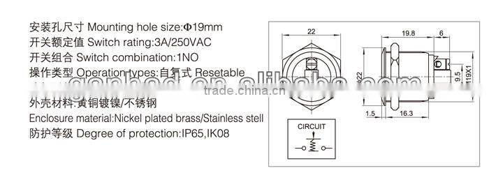 Flat 19mm push button switch