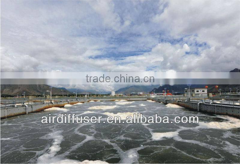 BWT shrimp pond aerators