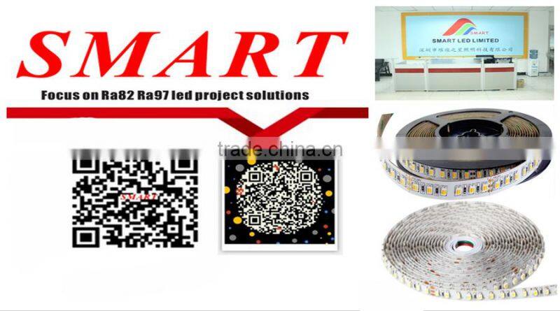 Led strip light DC12/24v high bright 5050 led strip 60leds/m flexible addressable rgb led strip