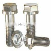 Gr1 Titanium fasteners
