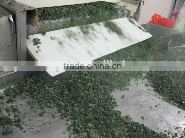 IQF chopped spinach cuts