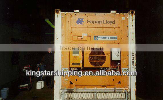 20'RF Container for frozen chicken