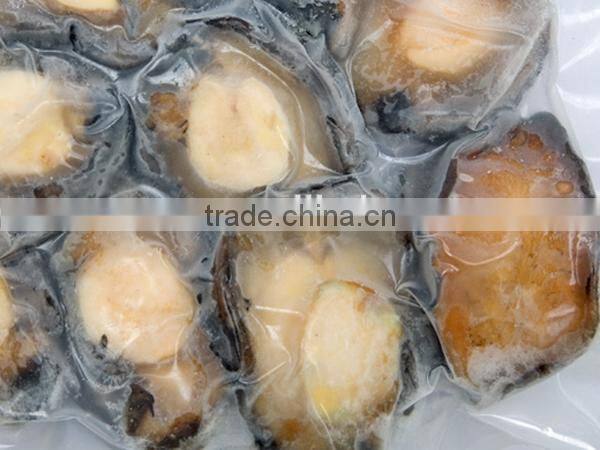 fresh frozen abalone meat wholesale