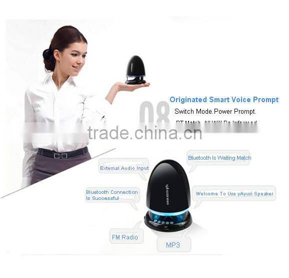 Built-In Rechargeable And Hand Freee Call FM Portable Wireless Speaker