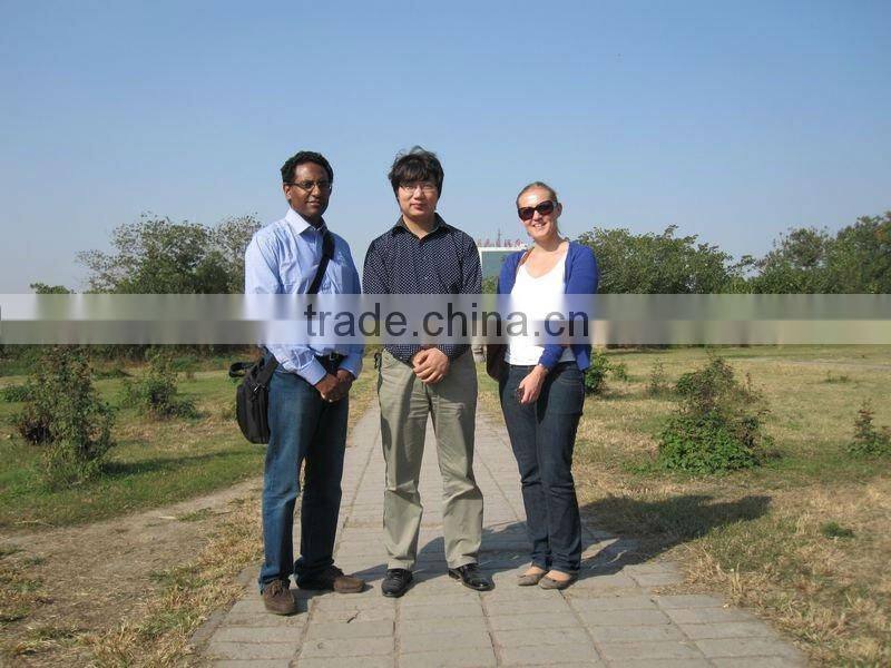 Pure Pine Fuel wood Briquette equipment ZBJ-4