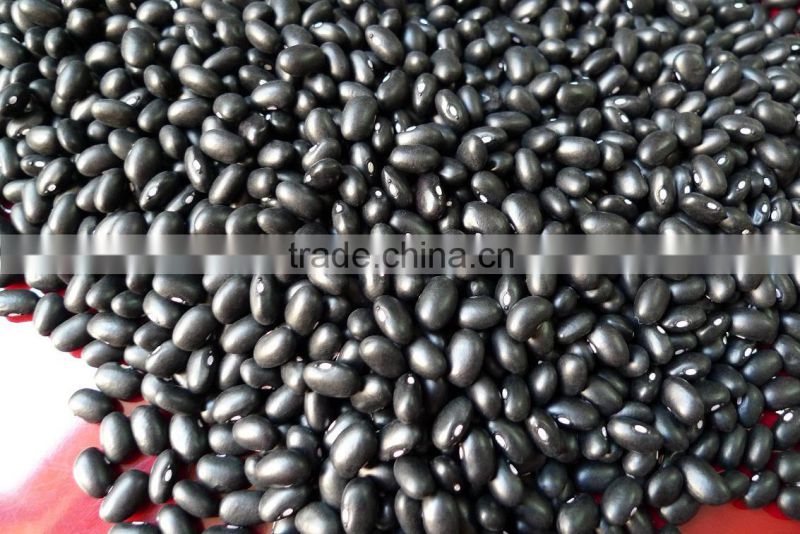 Black Kidney beans 2010 crop