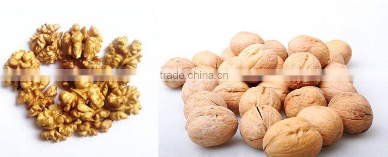 Chinese walnut kernel for hot sale and with good quality and free sample for you
