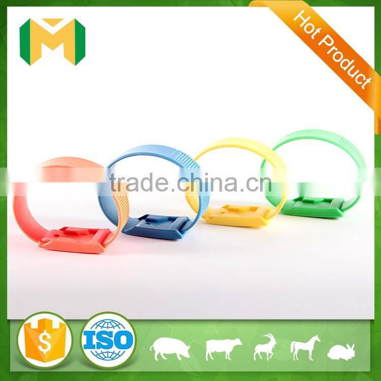 Leg Band for cow marking