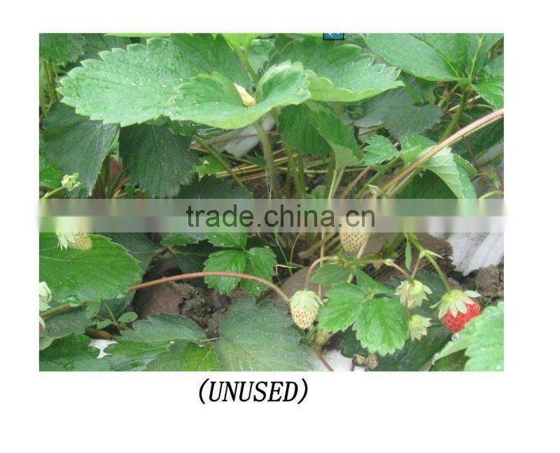 Almi-180 Amino acid boron calcium