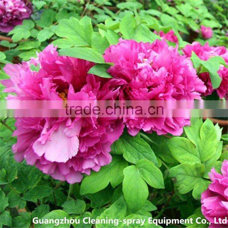 Plastic micro irrigation bubbler