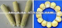 stainless steel sweet corn thresher