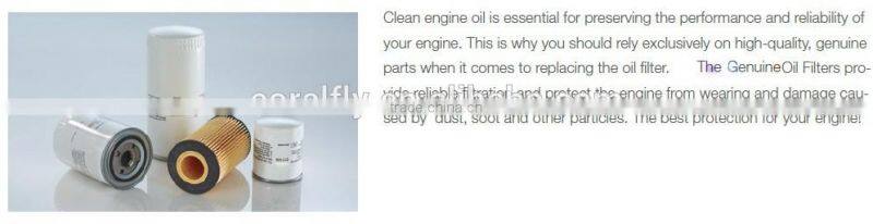 Diesel Engine Hydraulic Filter 04305722