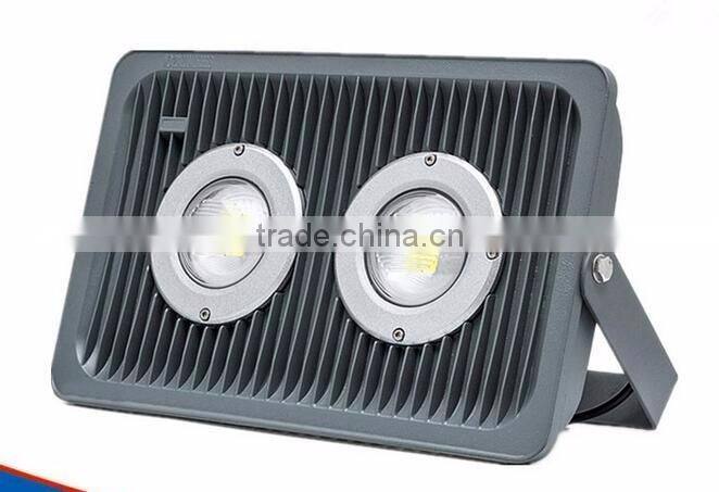 2pcs 50W COB grow LED flood light hydroculture