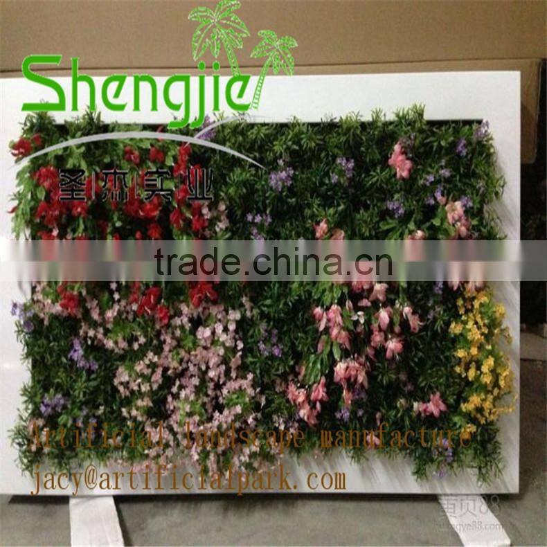 coconut trees pyrene