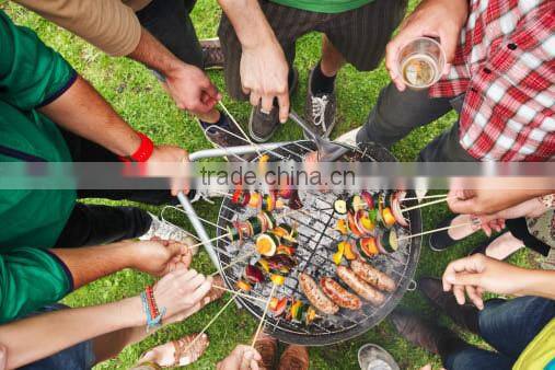 LFGB Bucket BBQ Set Charcoal Barbecue Grill Household BBQ Bucket