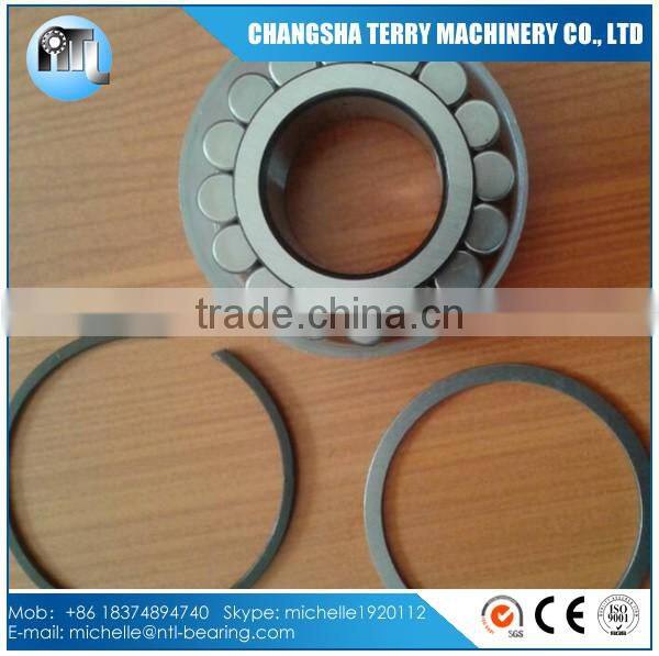 full complement Roller bearing planet gear bearing F-219012