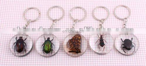 Luminous Real Insects Amber Keychain with Scorpion