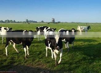 2018 double vacuum milking machine/cow milking machine price //0086-15037190623