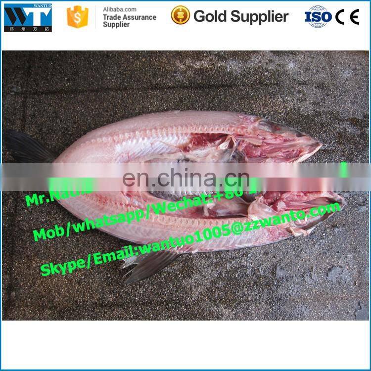 fish descaler | automatic fish fillet machine | fish killing gutting cleaning machine
