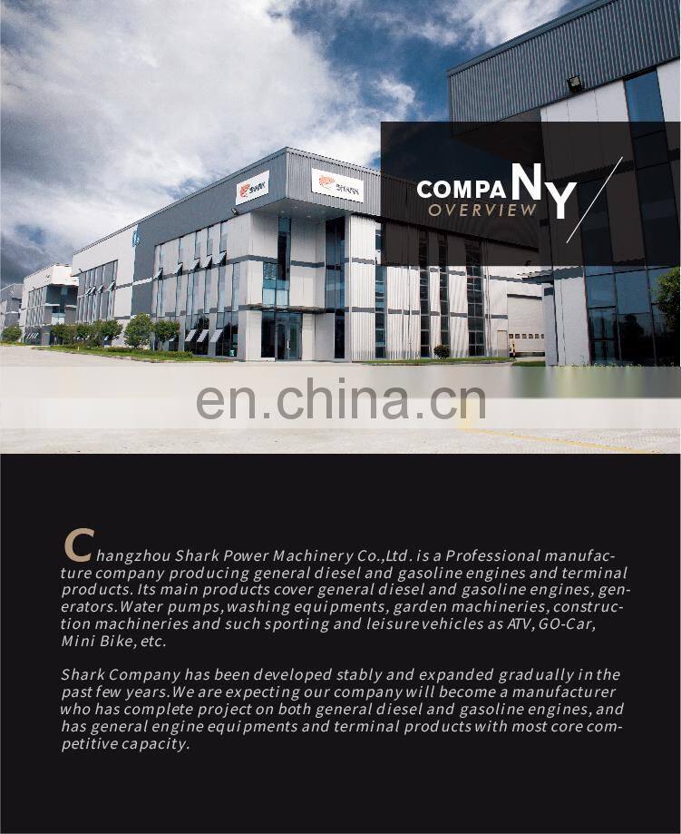 DG8000-CLE 6.5KW OPEN TYPE DIESEL GENERATOR