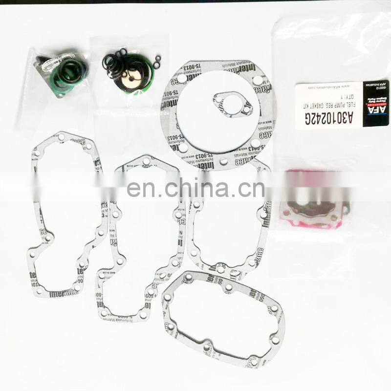 Diesel common rail pump 3010242 Fuel Pump Repair Kit