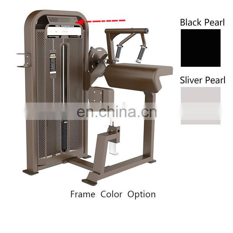 Indoor Gym Equipments Exercises Gym Bicep Triceps Machine