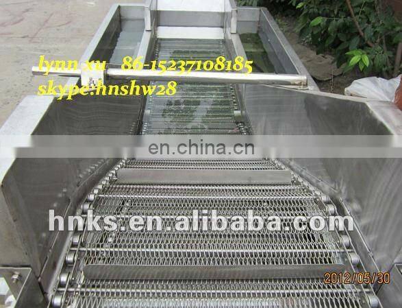 Automatic fruit washing machine for apple cherry eggplant