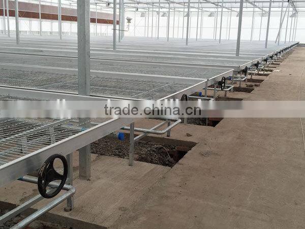 greenhouse garden ebb/flow rolling bench