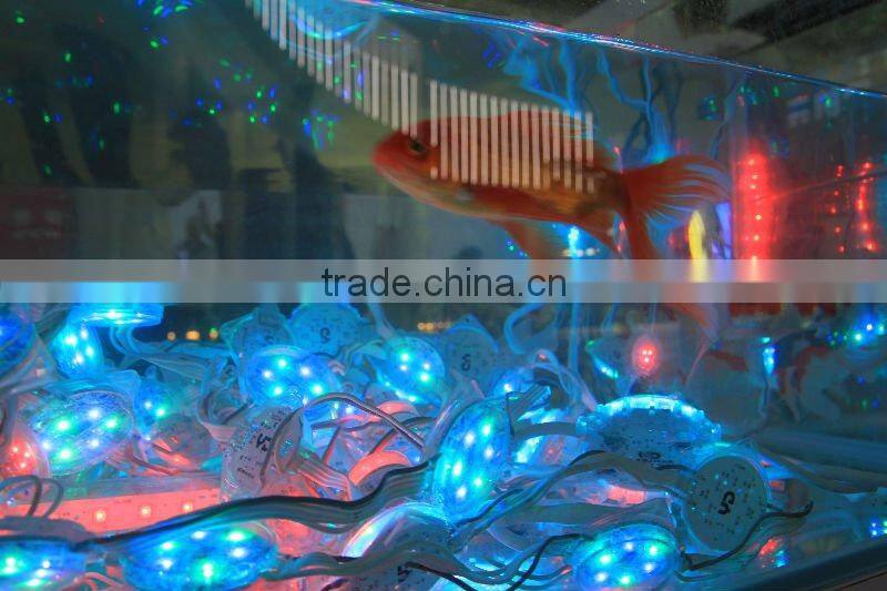 IP68 waterproof & fireproof light led for pool decor