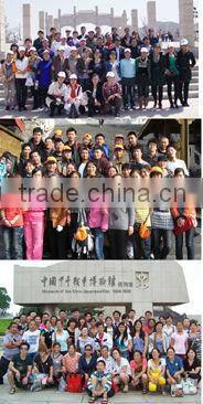Agriculture Greenhouse Plastic Seeding Tray