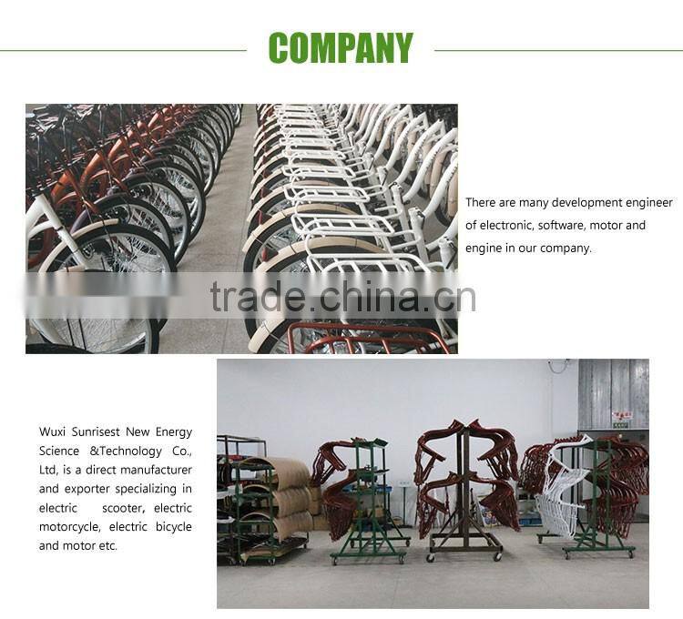 36V Adult Electric Bike For Sale