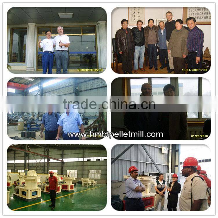 800 kgs per hour economical catte feed pelletizer