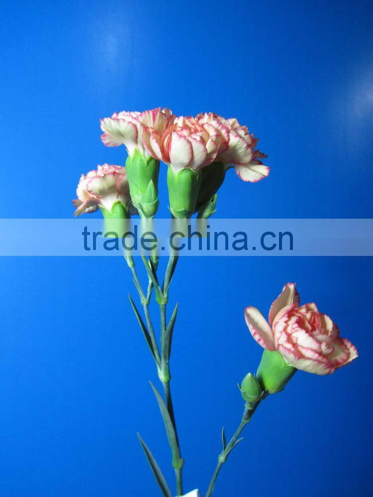 Most popular promotional flowers bouquet carnation