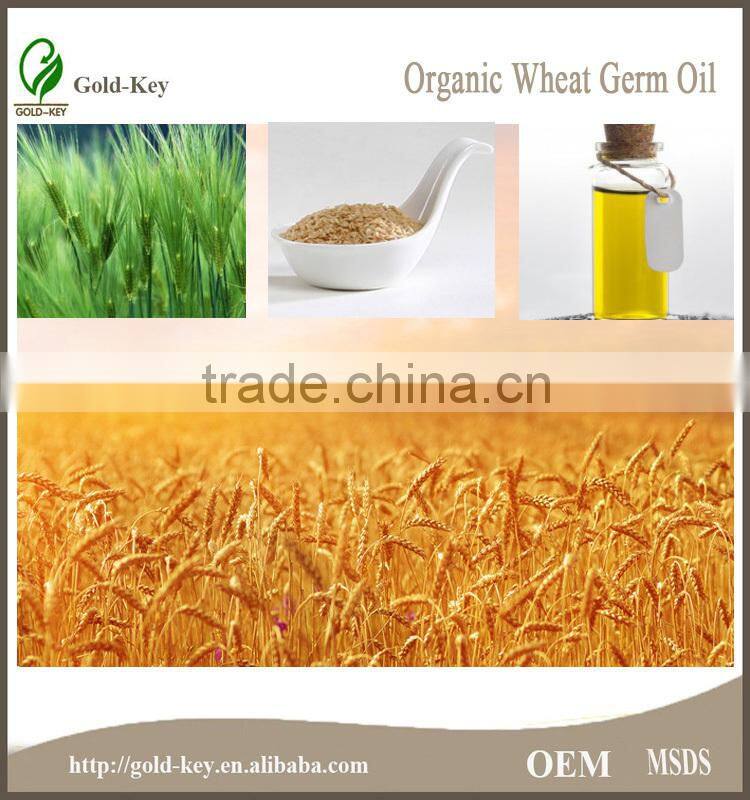 Wheat Germ Oil, Wheat Germ Oil Price, Wheat Germ Extract Oil