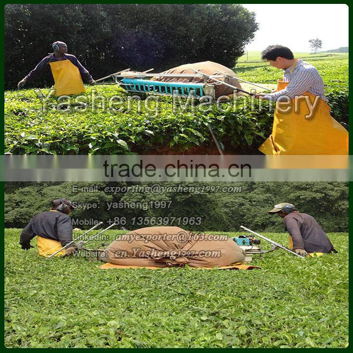 Hot Sale Tea Leaf Harvesting Machinery for Sale