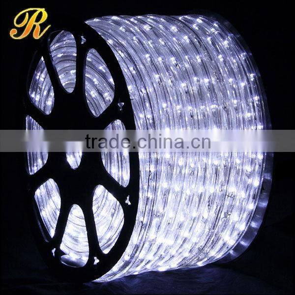Pure white Christmas rope lights outdoor