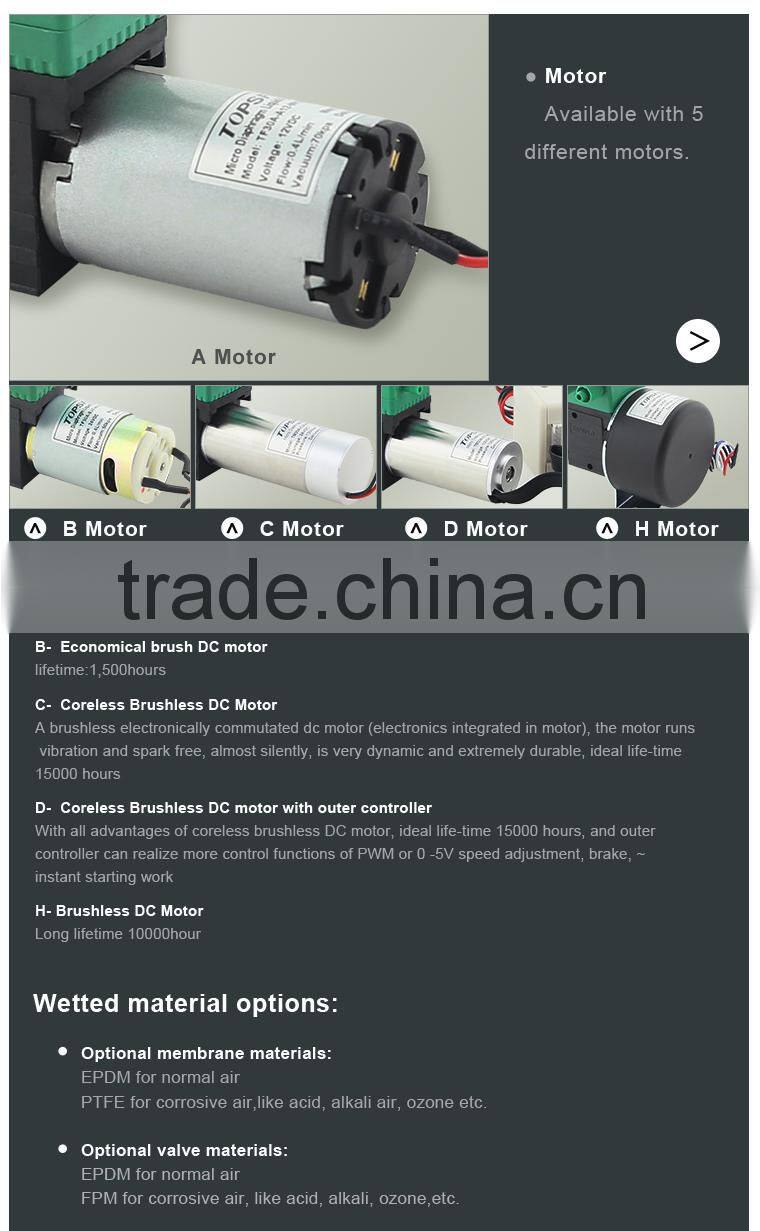 6v 12v 24v dc diaphragm small ozone purifier for air water with air pump