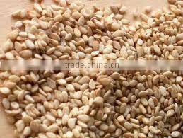 Natural Roasted Sesame Seed Sortex Clean