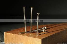 Polished Iron Nails ,Steel Common Nails For Furniture Anping Nail Price