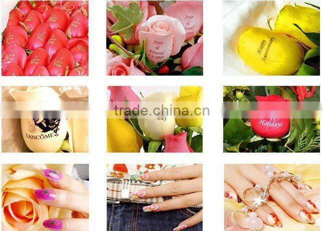 digital flower nail machine for printing freely