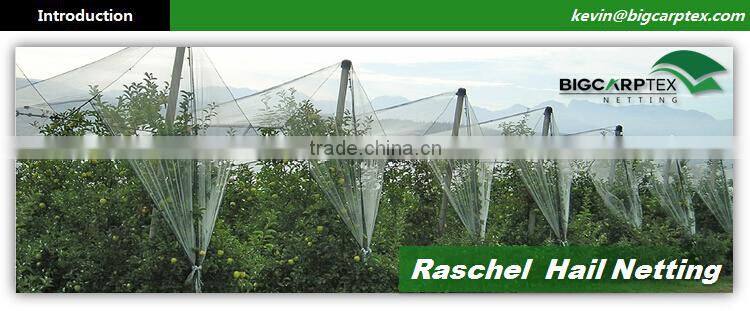 anti hail net for apple tree