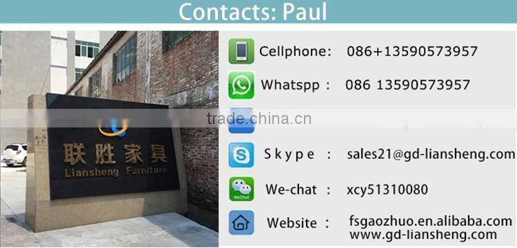 Library Chair, Beach Chair, Garden Chair, Dinning Chair, Leisure Chair