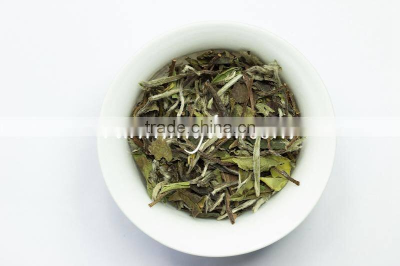 Antioxidant Chinese White Tea Benefits