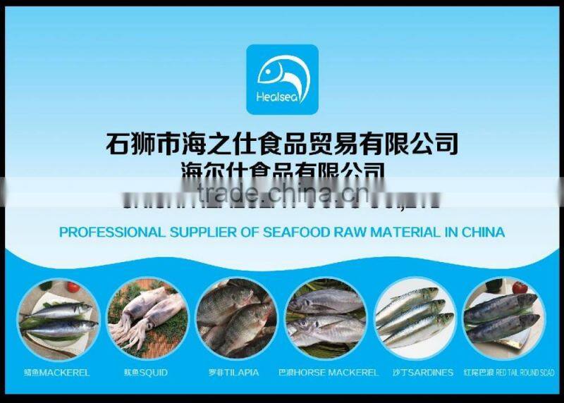 Chinenisis Loligo Squid