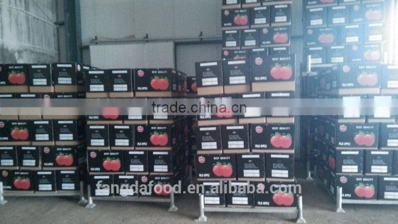 Cold storage fresh apple/low price