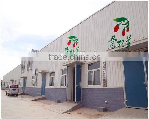 frozen red fresh medlar,goji fruit wolfberry,dried goji berry