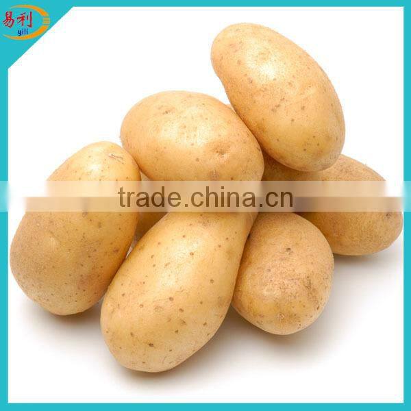 Supply new season frozen potato dice