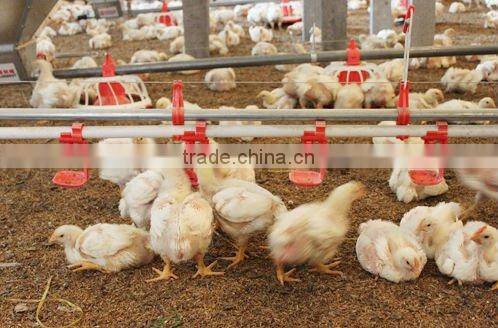 Goldenest poultry farming equipment broiler automatic poultry drinkers nipples for sale