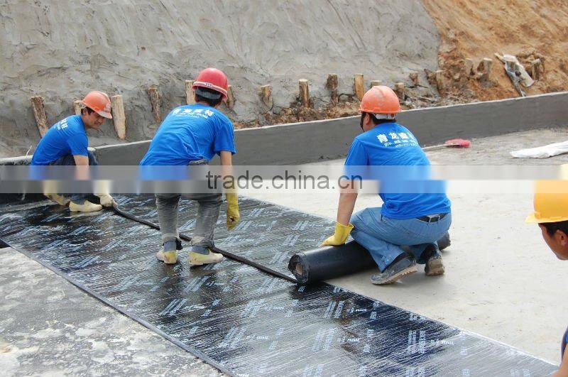 Elastomeric liquid membrane waterproofing